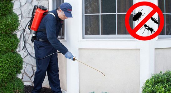 Çamoluk Fare İlaçlama böcek ilaçlama ve haşere kontrolü — ilaclama-tr.com